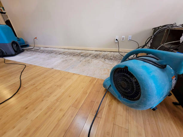 Professional Structural Drying technician working in Leverett, MA
